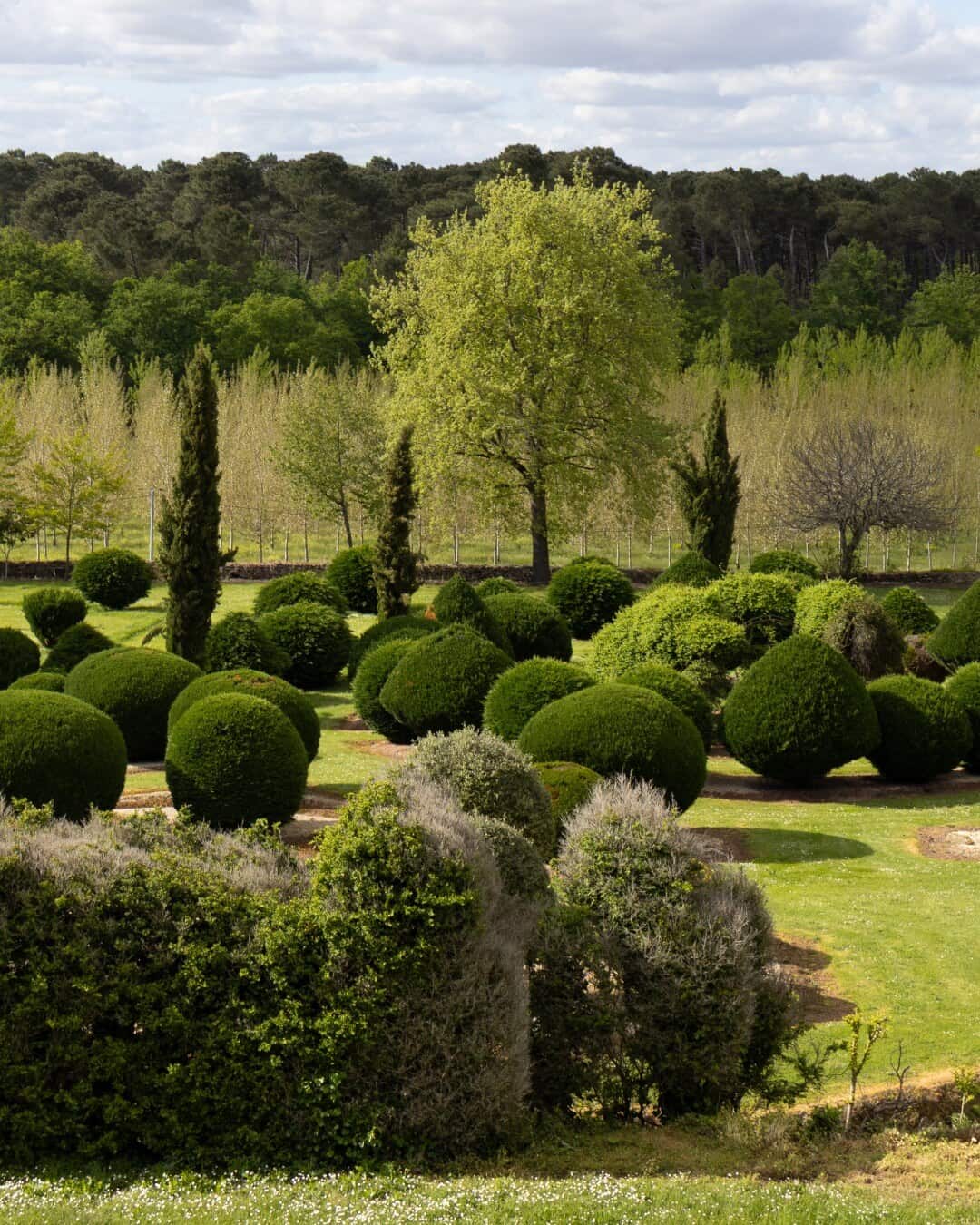 Perspective des jardins du Château de Malvirade
