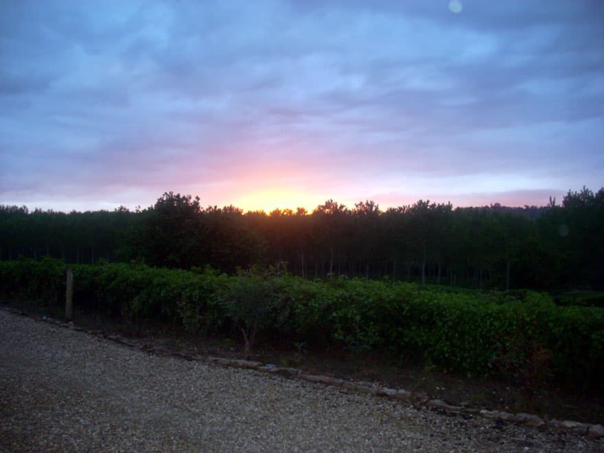 Coucher de soleil sur le parc du Château de Malvirade