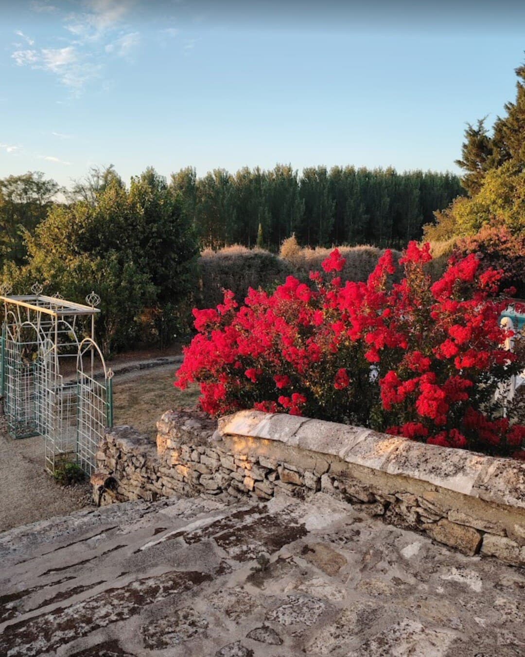 Terrasse fleurie et vue sur le parc du Château de Malvirade